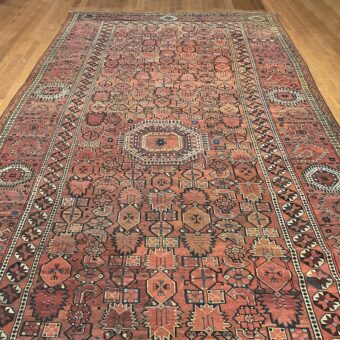 Afghan Hand-knotted Antique 1900's Bashiri Wool Runner (7'6 x 16'8)