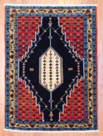 Persian Hand-knotted Kurdish (4' x 5'3)
