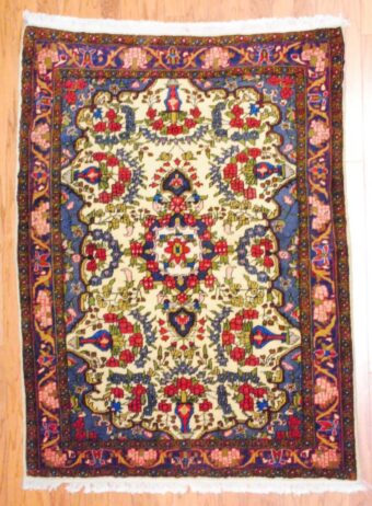 Persian Hand-knotted Bidjar (3'10 x 5')