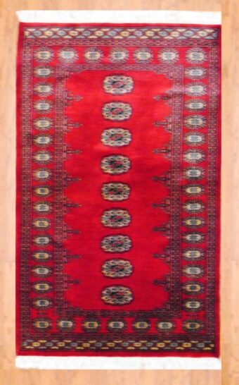 Pakistani Hand-knotted Bokhara (3' x 5')