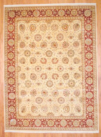 Pakistani Hand-knotted Rug (9' x 12'4)