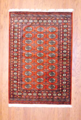 Pakistani Hand-knotted Bokhara (4' x 6')