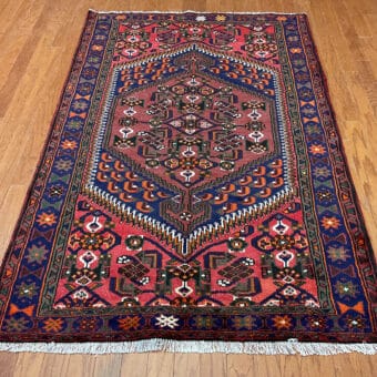 Persian Hand-knotted Hamadan Wool Rug (4'3 x 6'7)