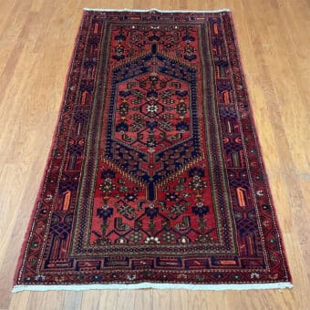 Persian Hand-knotted Hamadan Wool Rug (4'1 x 7'3)