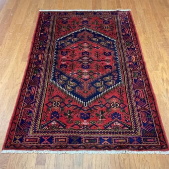 Persian Hand-knotted Hamadan Wool Rug (4'8 x 7'1)